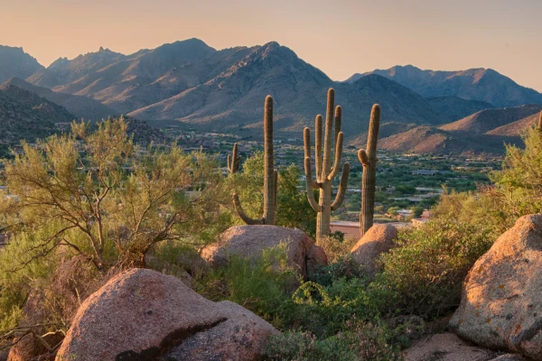 Moving To Arizona